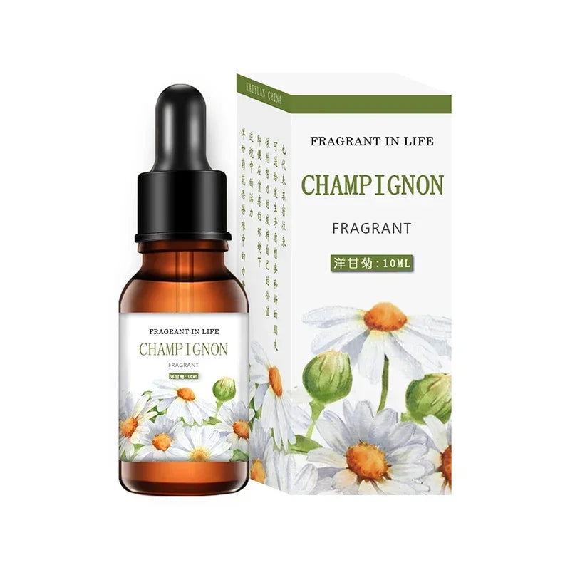 10ML Pure Plant Aromatherapy Massage Oil Bedroom Long-lasting Incense Humidifier Diffuser Candle Make Air Freshener DIY Perfume - WAYLO-BARGAINS