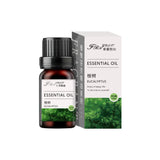 19 Flavors Essential Oils for Aroma Diffuser Air Humidifier Home Water-soluble 10ml Air Freshener Scents Fragrance Oil Perfume - WAYLO-BARGAINS