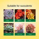 300ml Succulent Plant Superior Bud Promoting Bud Burst Bud Promoting Flower Fertilizer Old Pile Plant Nutrient Solution - WAYLO-BARGAINS