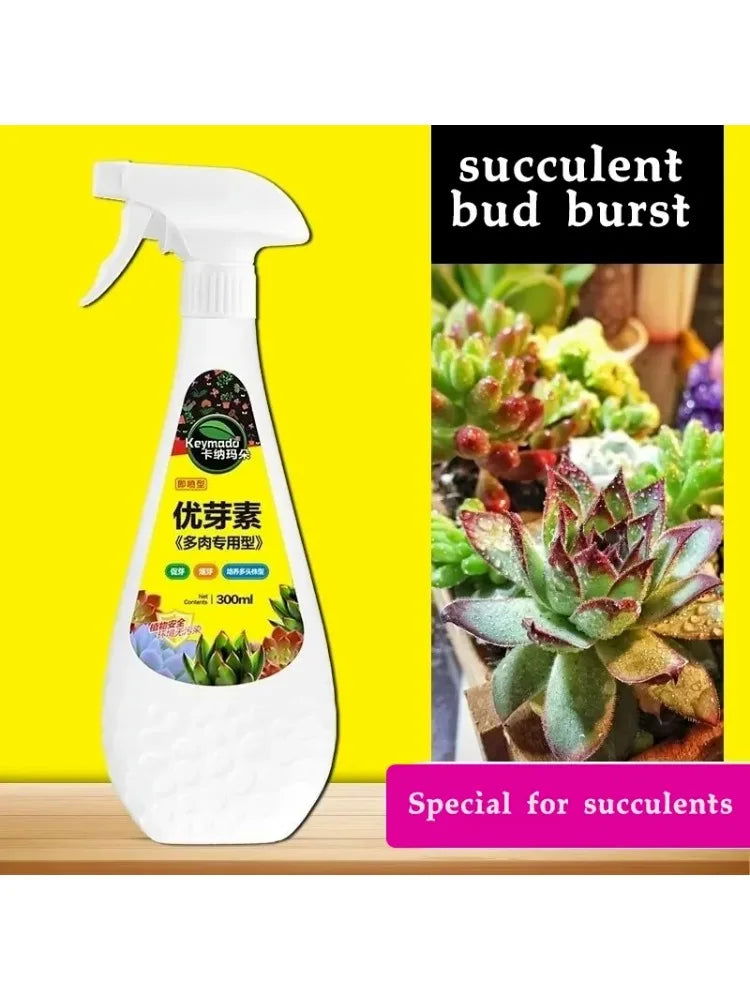 300ml Succulent Plant Superior Bud Promoting Bud Burst Bud Promoting Flower Fertilizer Old Pile Plant Nutrient Solution - WAYLO-BARGAINS